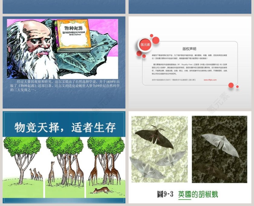 谁能生存下来-鄂教版教学ppt课件第4张