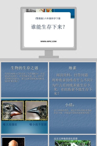 谁能生存下来-鄂教版教学ppt课件