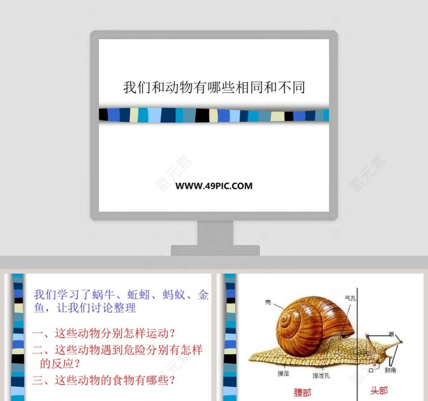 探索我们和动物有哪些相同和不同之处 - 教育培训行业PPT模板内容第1张