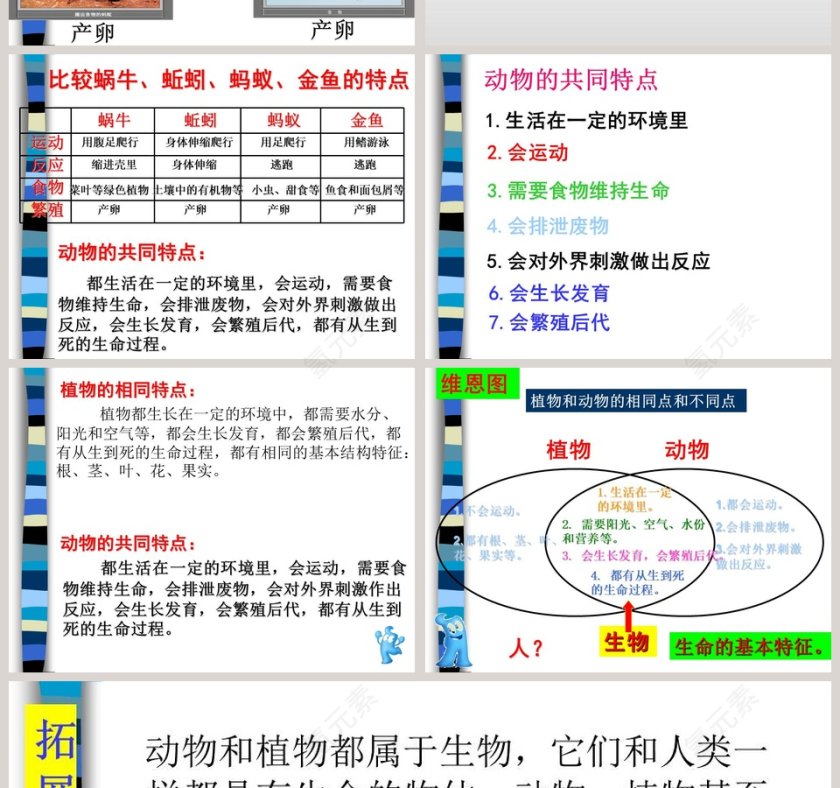 探索我们和动物有哪些相同和不同之处 - 教育培训行业PPT模板内容第4张