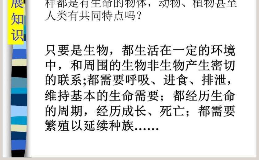 探索我们和动物有哪些相同和不同之处 - 教育培训行业PPT模板内容第5张