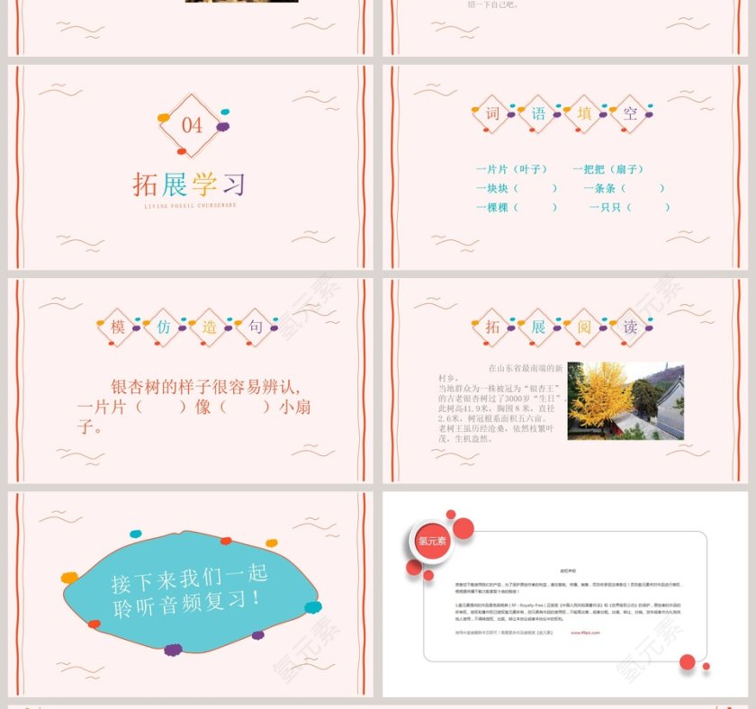 古生物和化石读书分享会说课ppt课件第4张