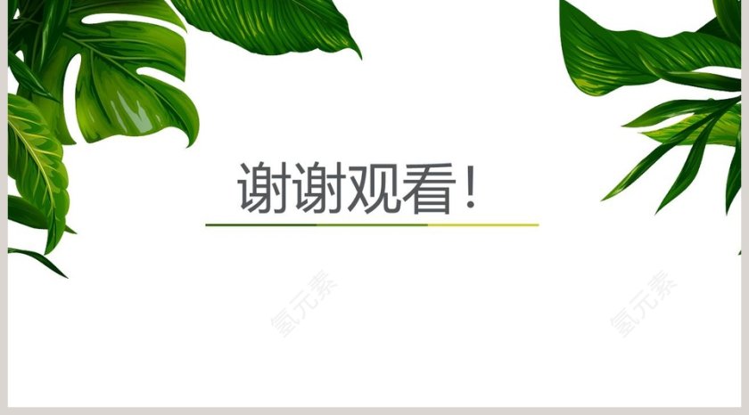 精美小清叶商业计划书PPT模板第5张