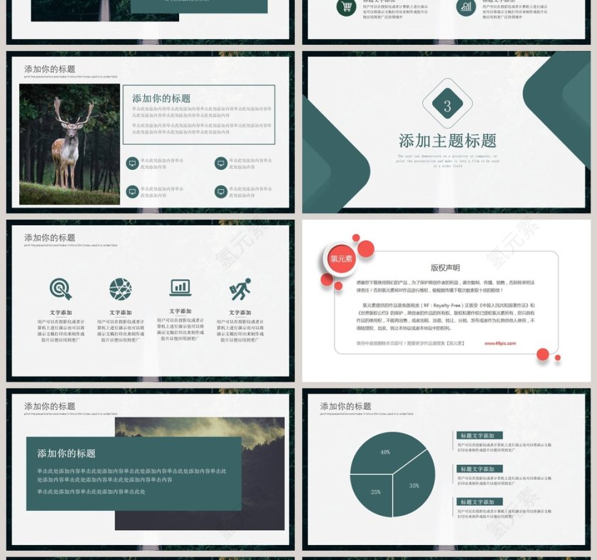 爱护树木保护森林总结计划PPT模板第4张