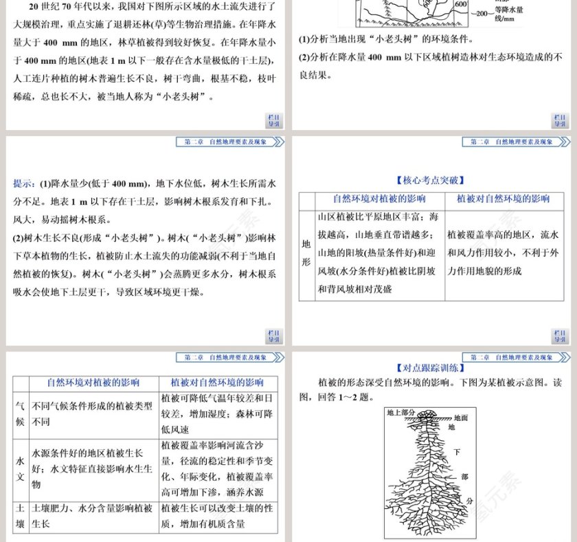 第七节植被与自然环境的关系教学ppt课件第7张