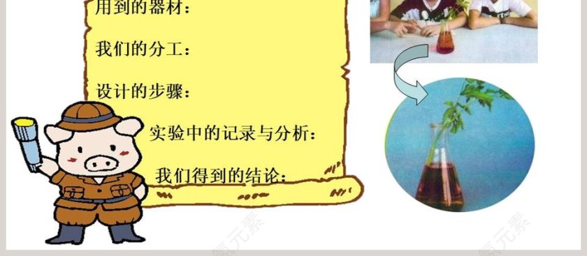 2-根与茎的奥秘教学ppt课件第4张