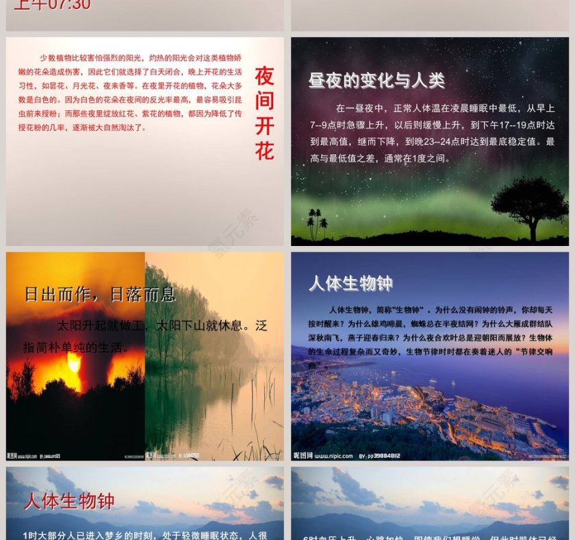 昼夜与生物-青岛版四年级科学下册教学ppt课件第4张