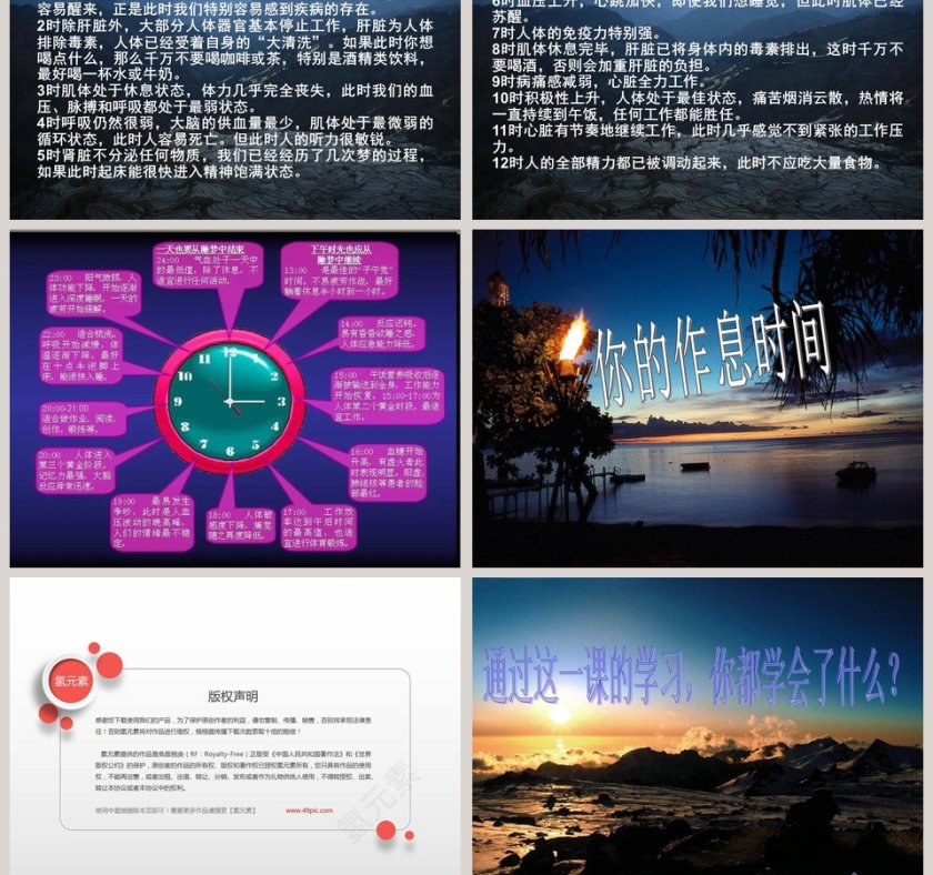 昼夜与生物-青岛版四年级科学下册教学ppt课件第5张