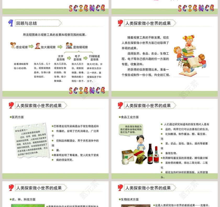 微小世界和我们教学ppt课件第2张