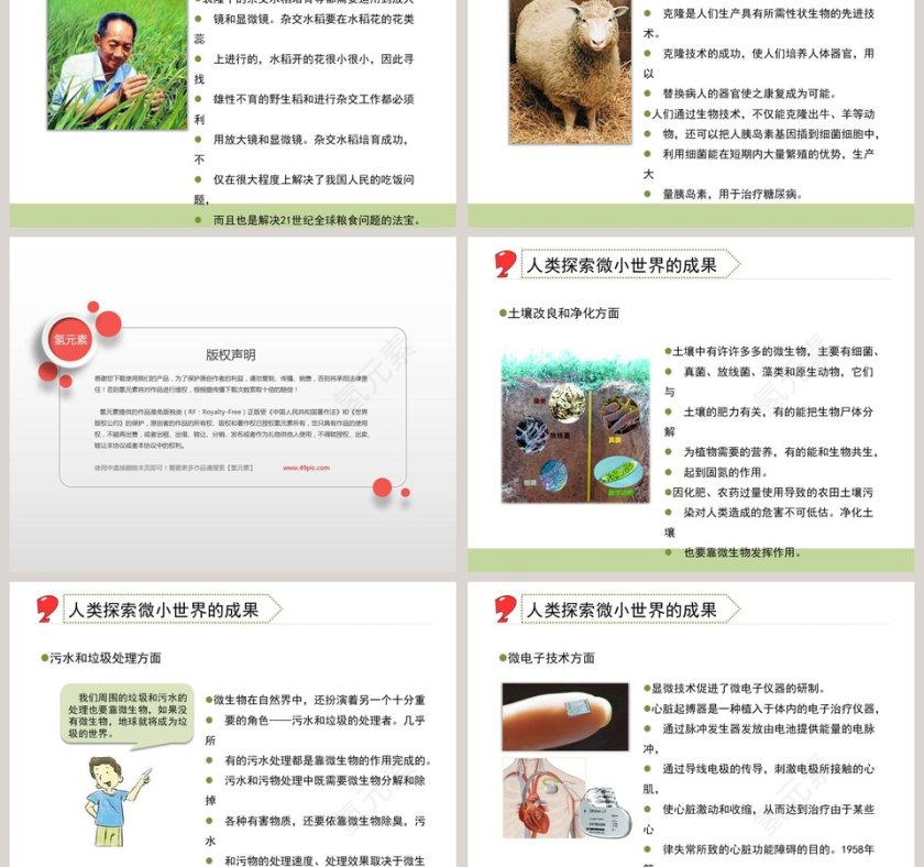 微小世界和我们教学ppt课件第3张