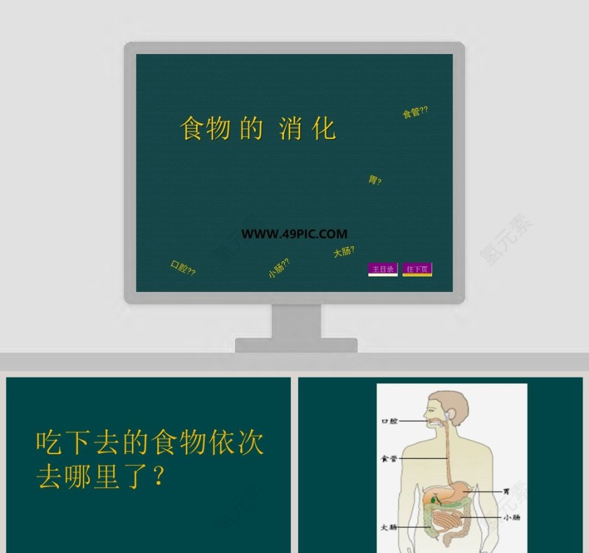 食物 的  消 化-口腔教学ppt课件第1张