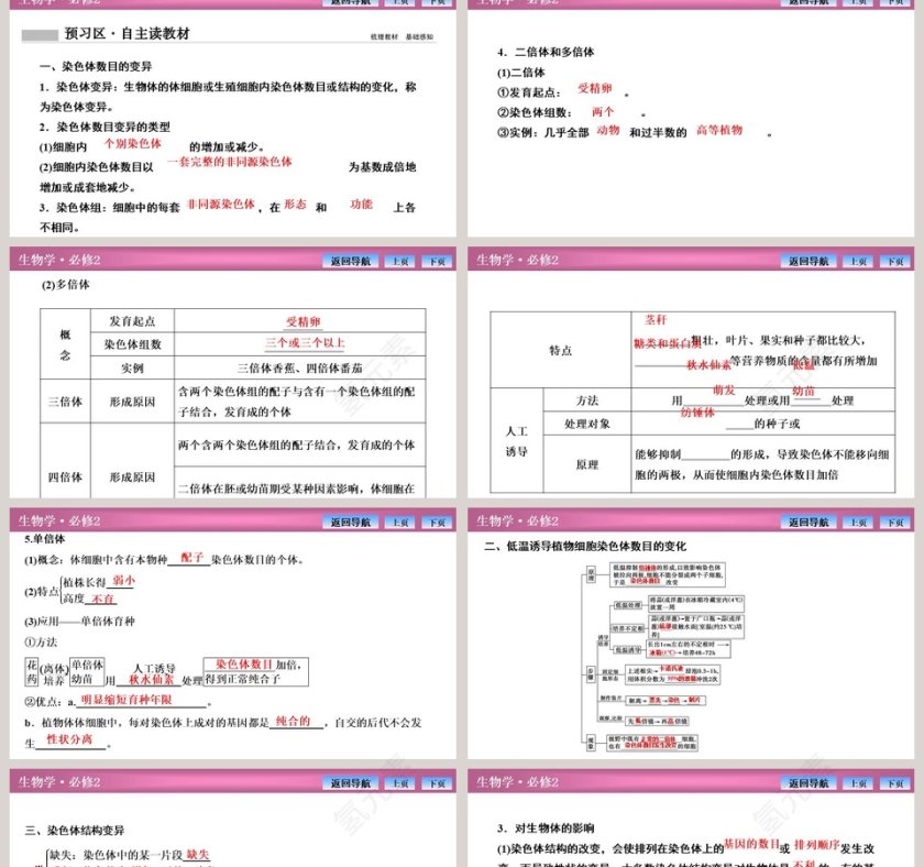 第-2教学ppt课件第2张