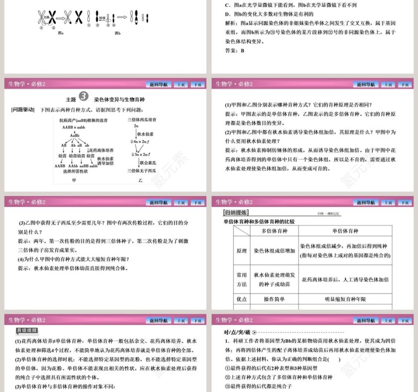 第-2教学ppt课件第6张