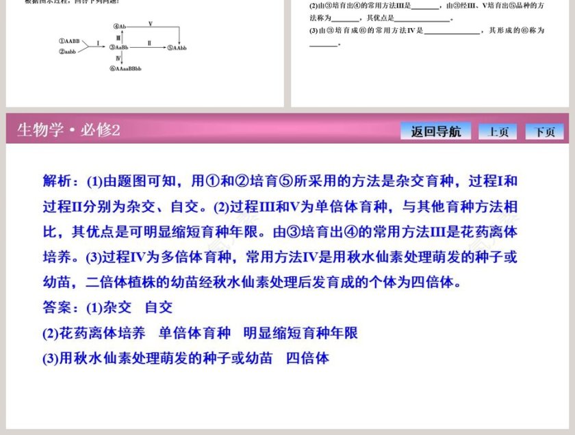 第-2教学ppt课件第9张
