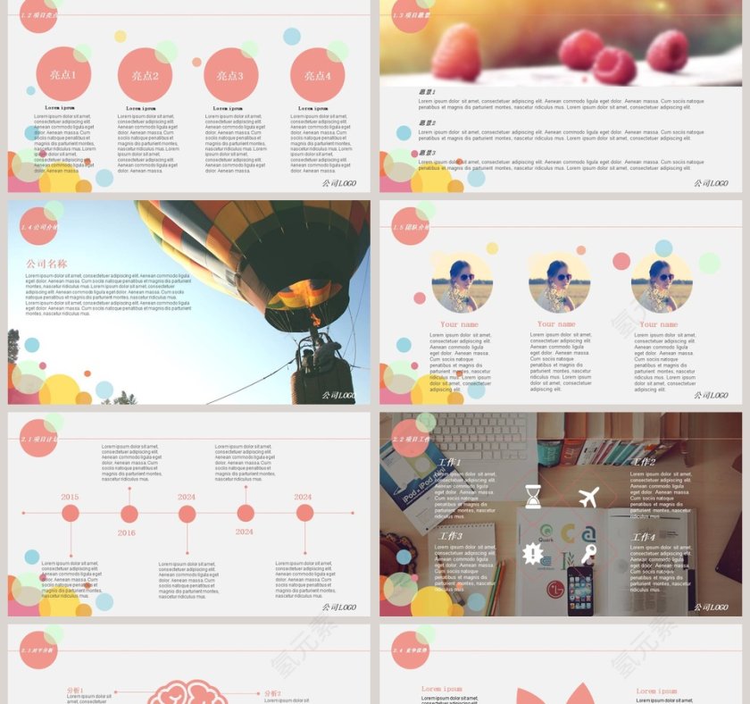 绚彩风商业计划书 PPT模板第2张