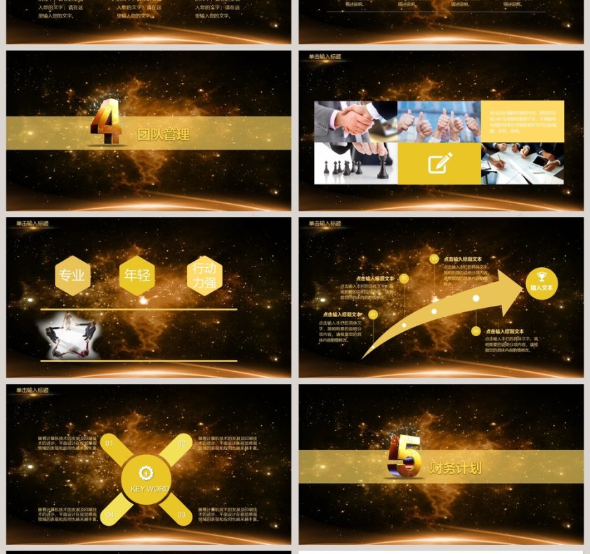 大气金色星空商业计划书PPT模板第4张