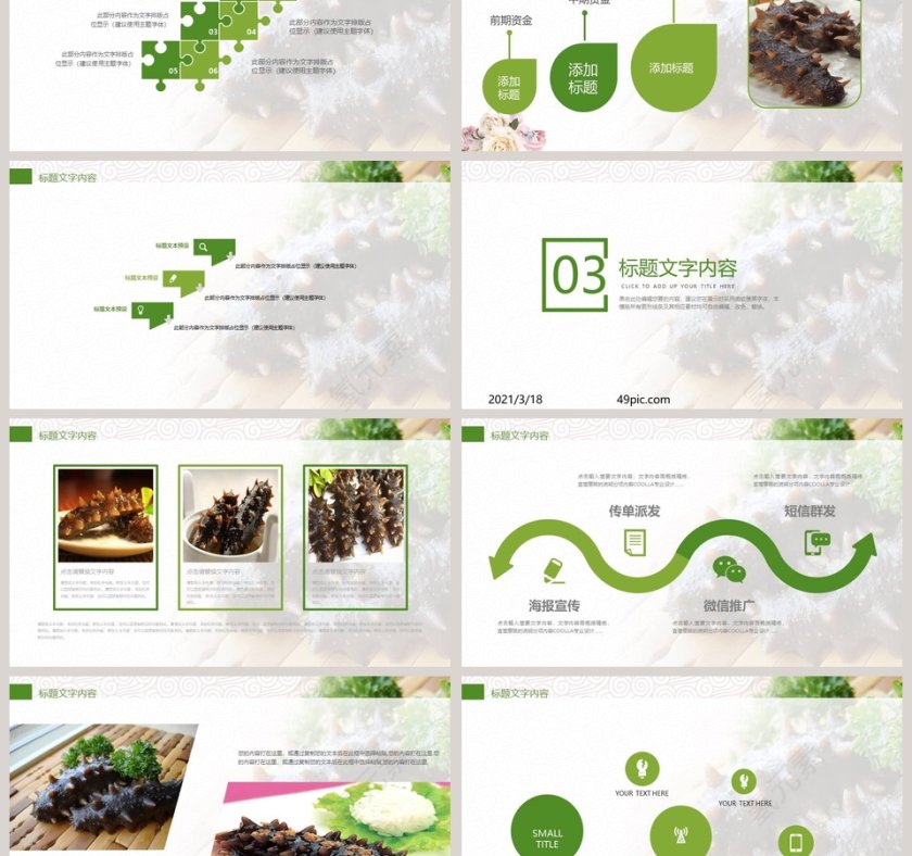 精品海参动态PPT模板第3张