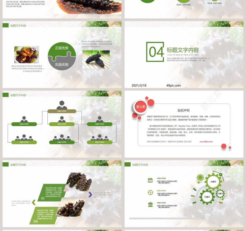 精品海参动态PPT模板第4张