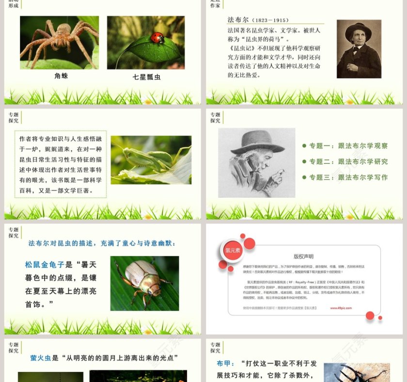 课文解析昆虫记科普作品的阅读语文课件PPT第2张