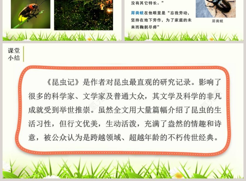 课文解析昆虫记科普作品的阅读语文课件PPT第3张