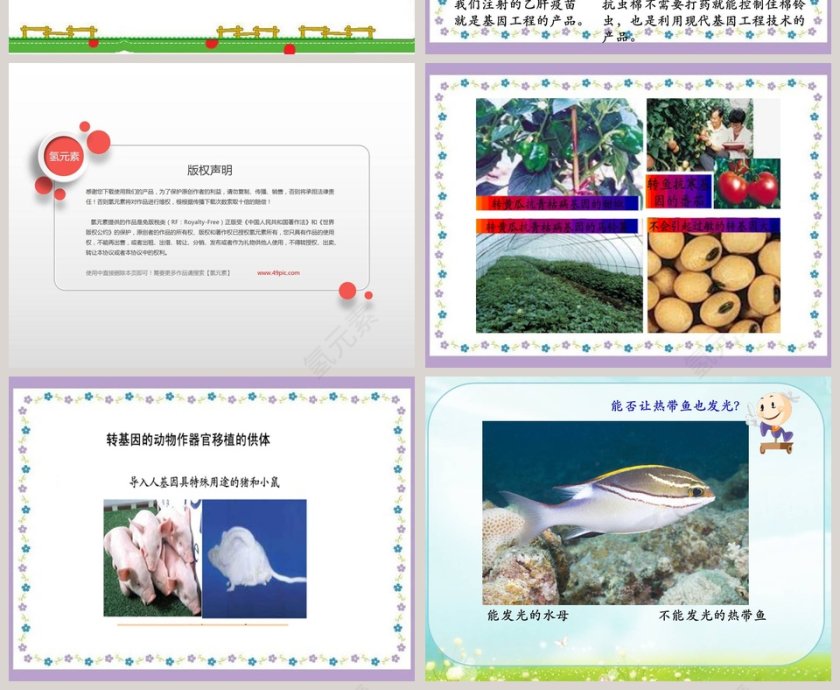 神奇的基因工程教学ppt课件第2张