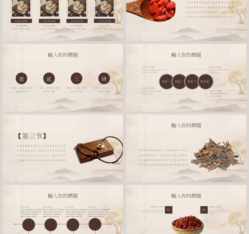 中医养生文化工作概述PPT第3张