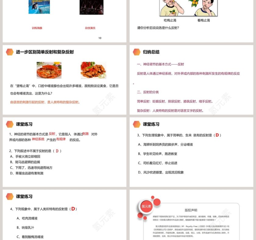 第六章 人体生命活动的调节-人教版  生物初中  七年级 下教学ppt课件第3张