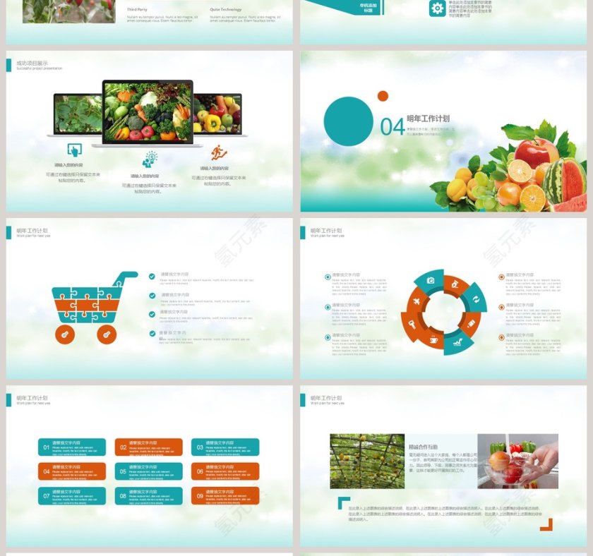 有机果蔬PPT模版第4张