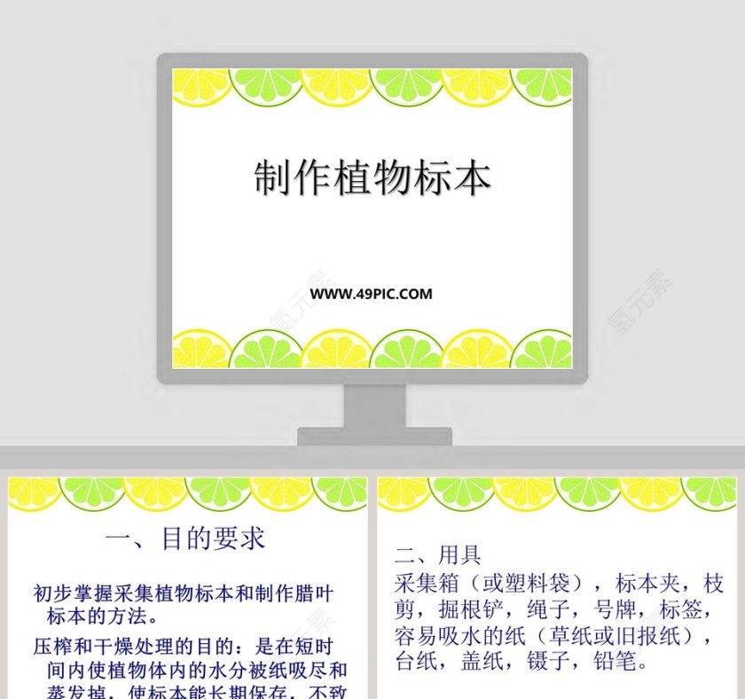 制作植物标本教学ppt课件第1张