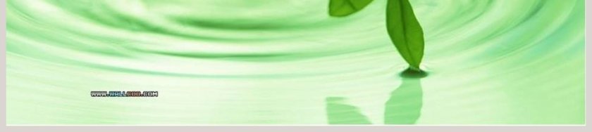 制作植物标本教学ppt课件第9张