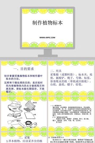 制作植物标本教学ppt课件