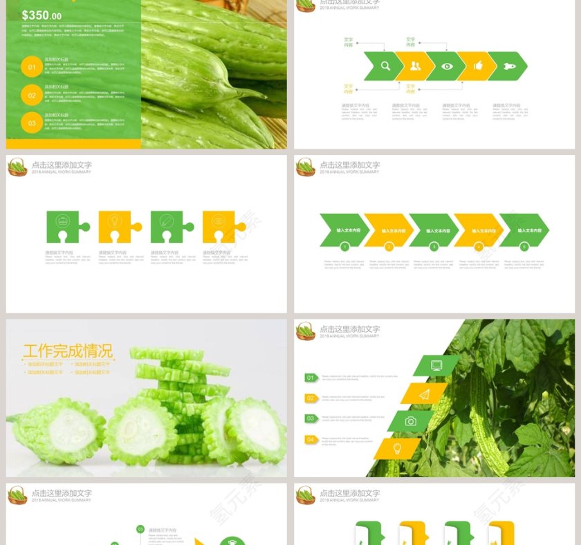 蔬菜苦瓜工作汇报PPT第2张