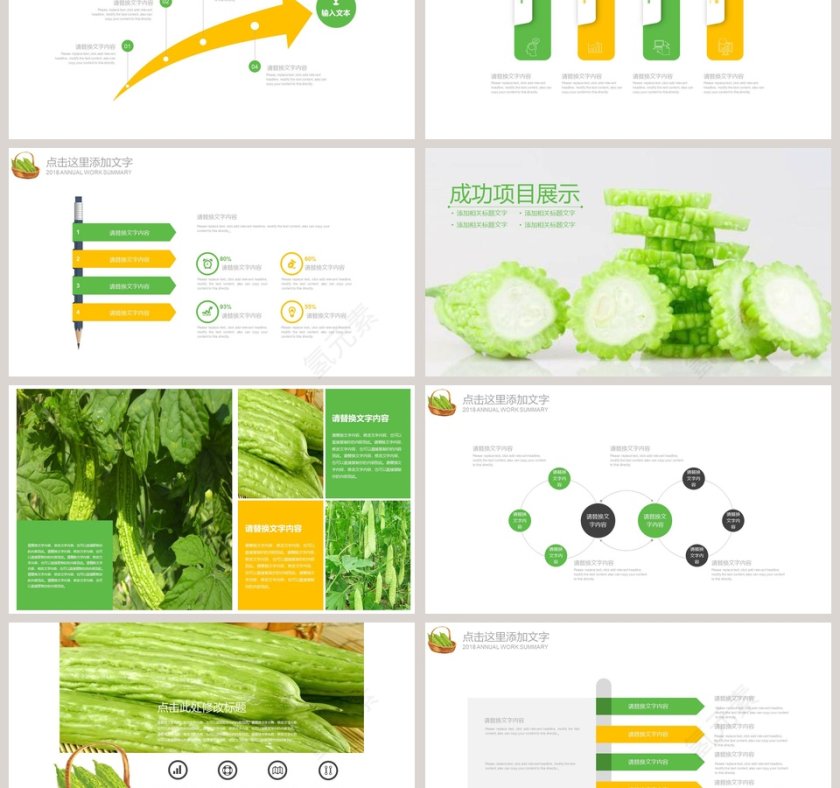蔬菜苦瓜工作汇报PPT第3张