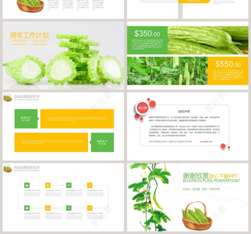 蔬菜苦瓜工作汇报PPT第4张