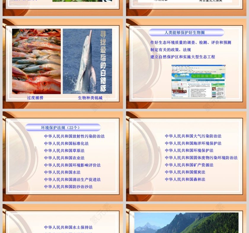 保护生物圈是全人类的共同义务教学ppt课件第2张