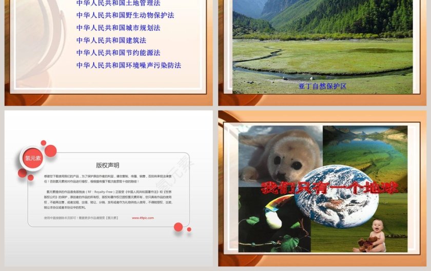 保护生物圈是全人类的共同义务教学ppt课件第3张