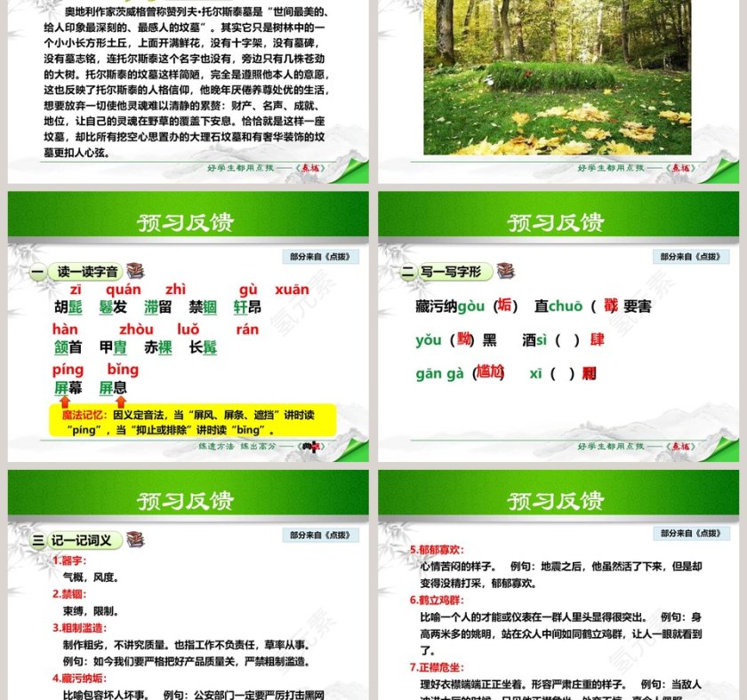 语文教学列夫托尔斯泰传记PPT课件第3张