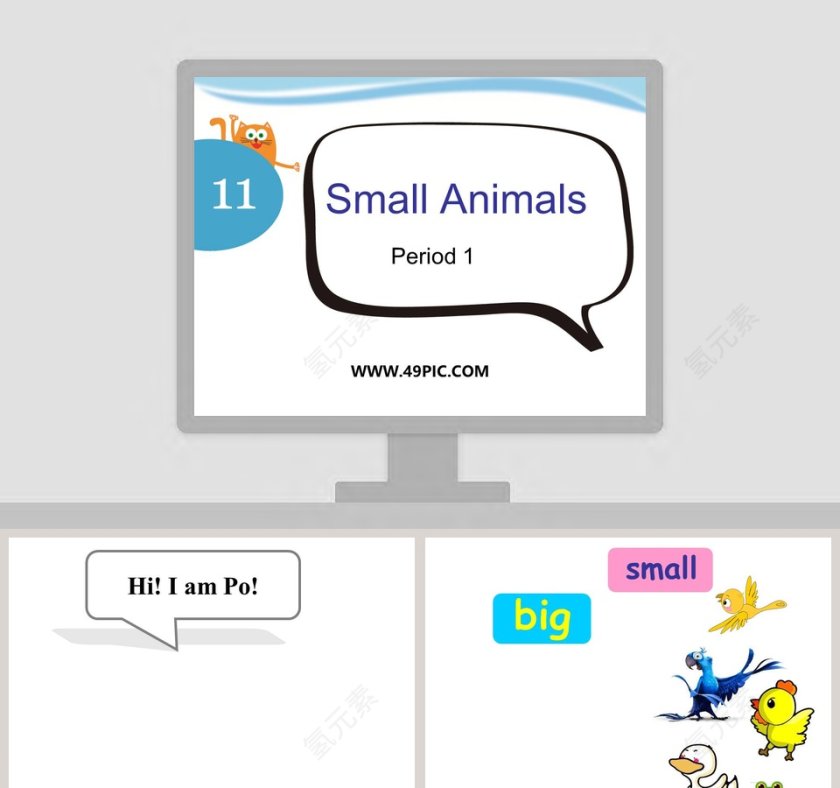 Small Animals-11教学ppt课件第1张