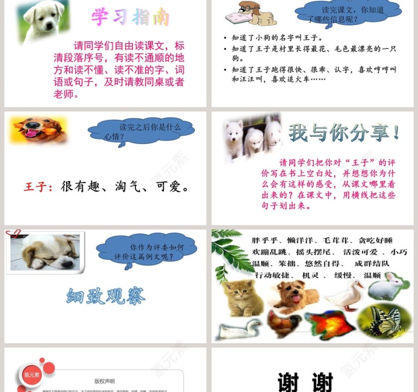 人教版三年级语文上册我家的小狗语文课件PPT第2张