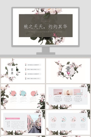 桃之夭夭 灼灼其华PPT