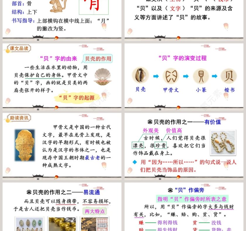 二年级语文下册贝的故事语文课件PPT第3张