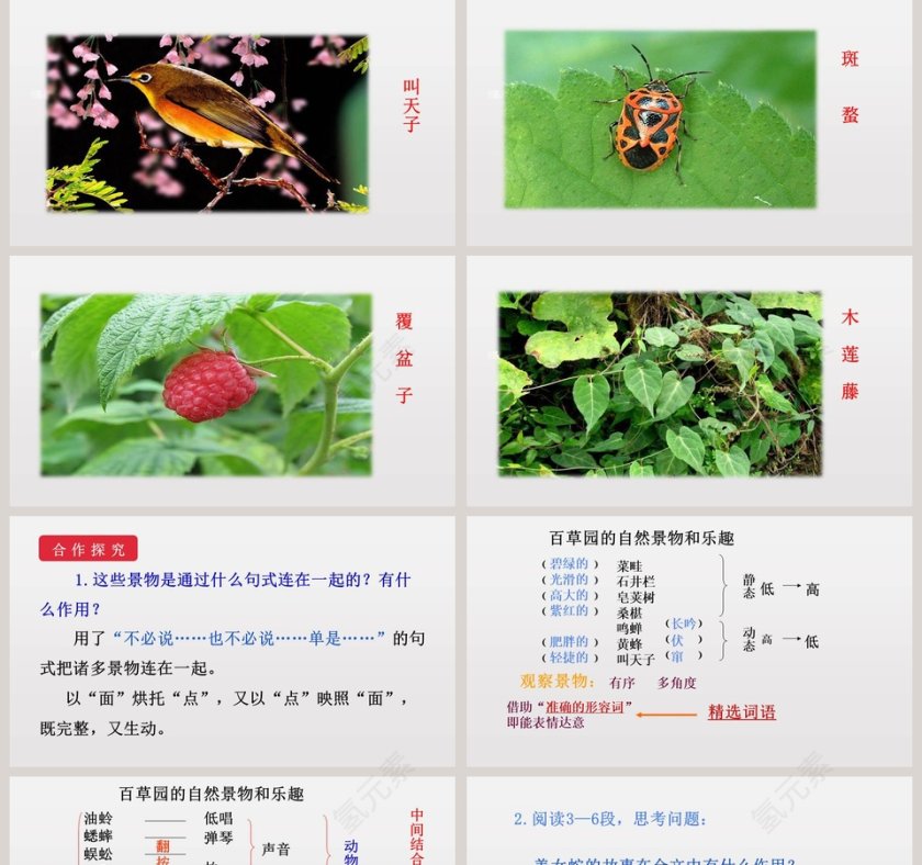 课文解析从百草园到三味书屋语文课件PPT第5张