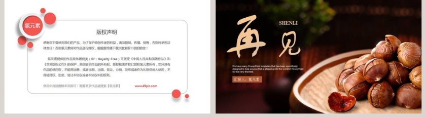 2019栗子香零食PPT模版第5张