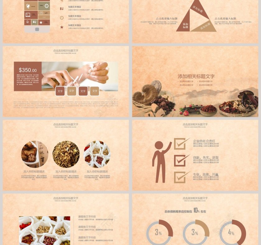 中医中药养生模版工作概述PPT第3张