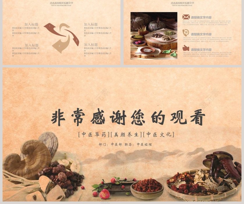 中医中药养生模版工作概述PPT第5张
