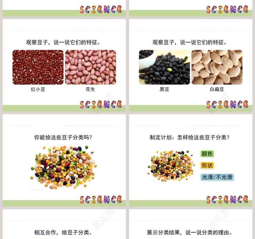 0-不一样的豆子教学ppt课件第2张