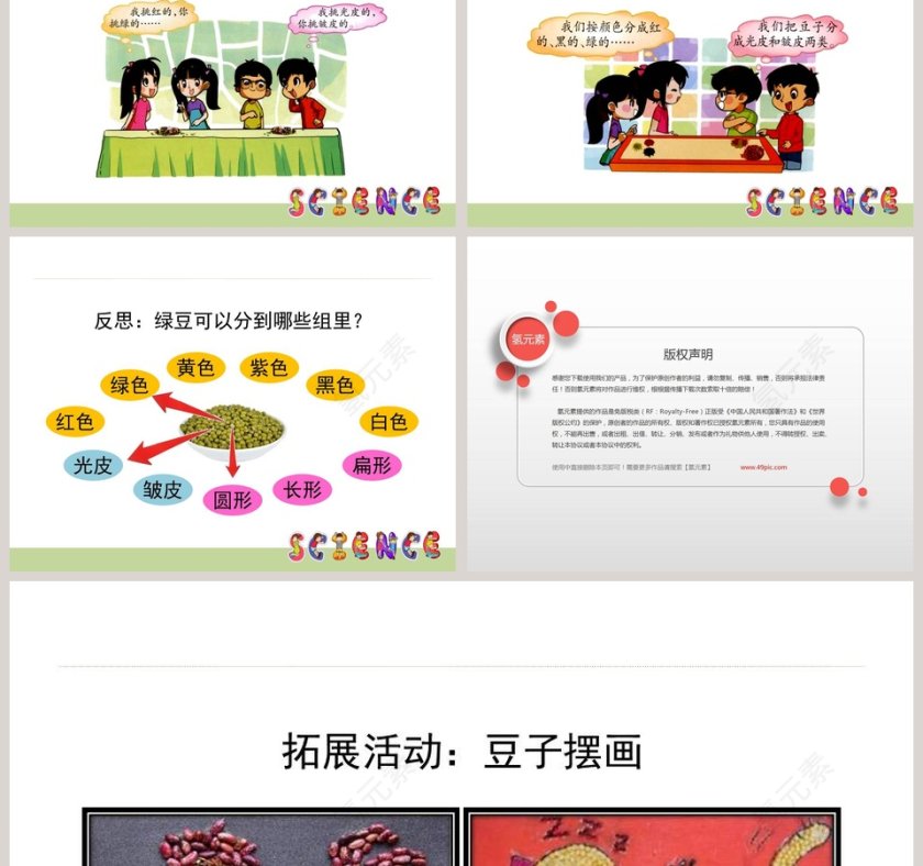 0-不一样的豆子教学ppt课件第3张