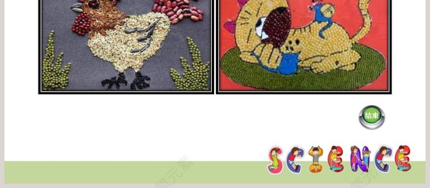 0-不一样的豆子教学ppt课件第4张