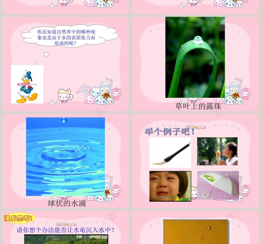 水面的秘密教学ppt课件第4张