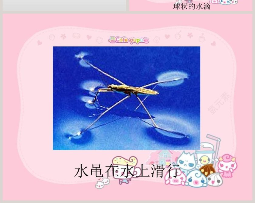 水面的秘密教学ppt课件第6张